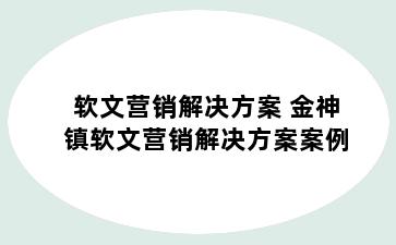 软文营销解决方案 金神镇软文营销解决方案案例